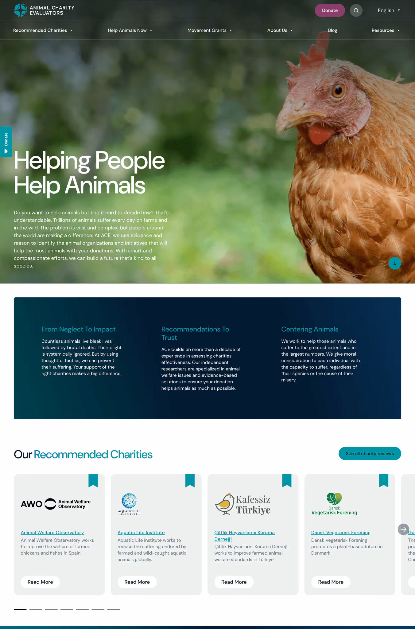 Animal Charity Evaluators homepage rebuilt by South Digital