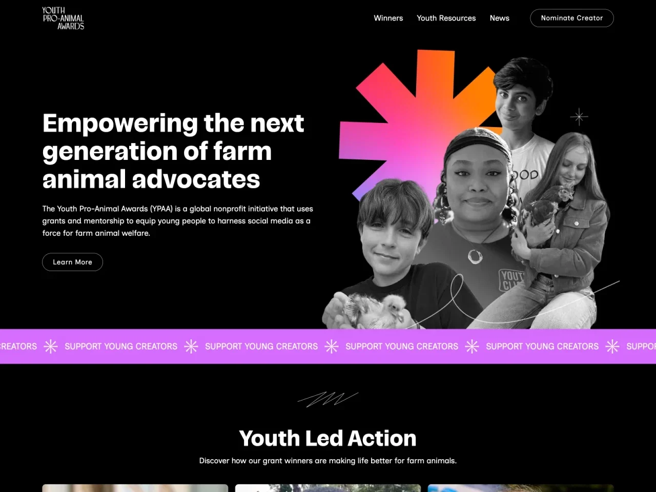 Screenshot of the website built by South Digital, Website redesign and development for Youth Pro Animal Awards