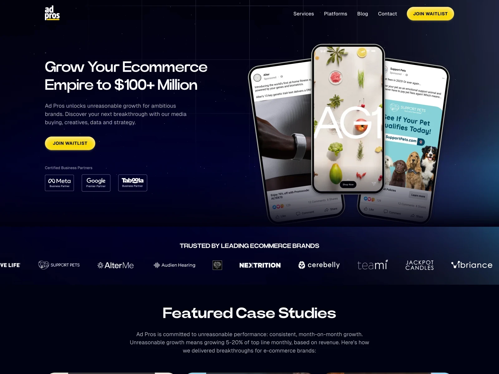 Ad Pros website homepage