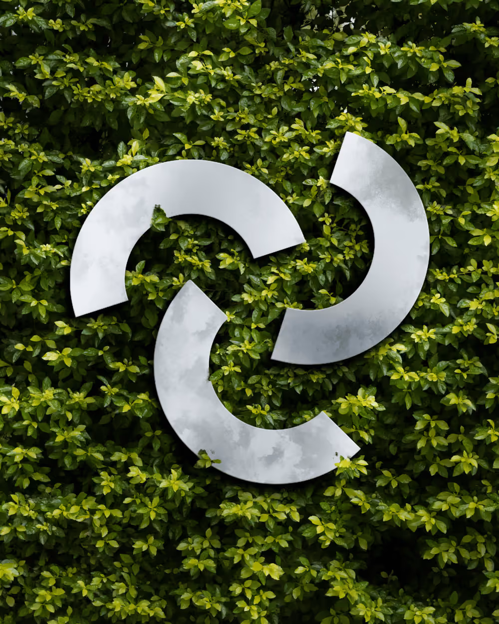 The South Digital mark set against green foliage