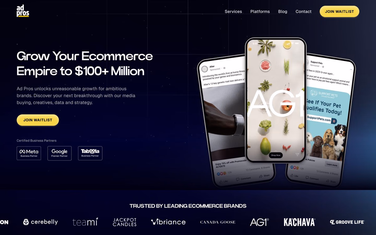Ad Pros website