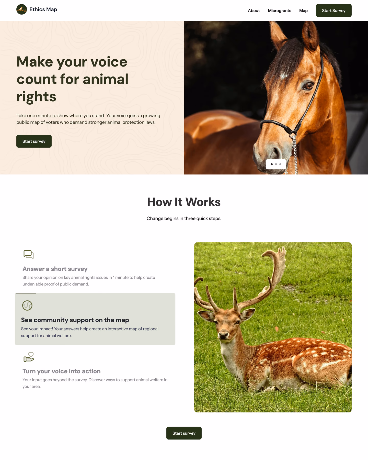 Ethics Map website