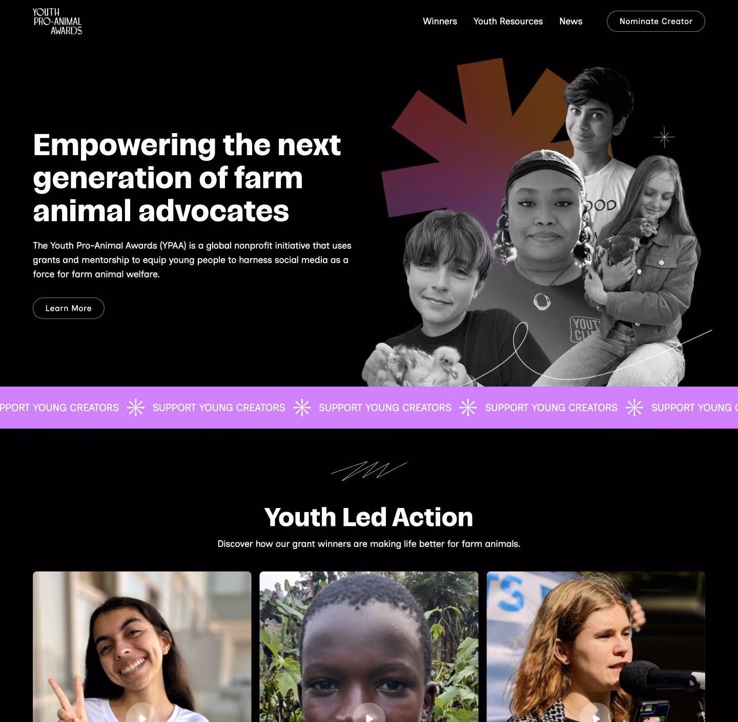 Youth Pro Animal Awards website